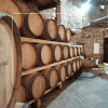 Cesar Márquez - vino blanco - La Salvación Godello 2022 - Imagen 3