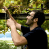 Albamar PAI Albariño 2022 - Imagen 2