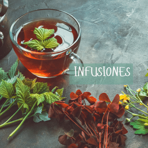 Infusiones gallegas