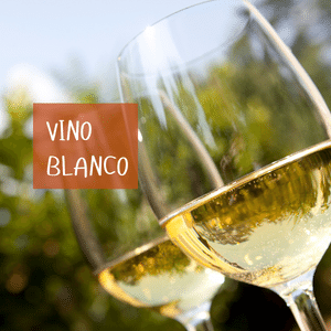 Vino blanco del Bierzo