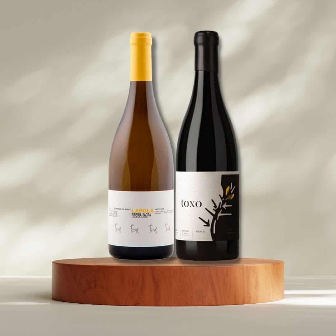 Pack de Vinos Bierzo & Ribera Sacra II