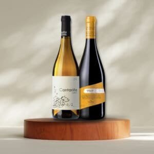 Pack de vinos Bierzo & Ribeira Sacra