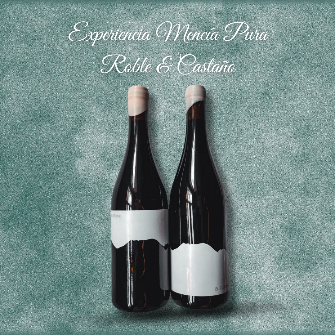 Experiencia vinos Mencía Pura – Roble & Castaño