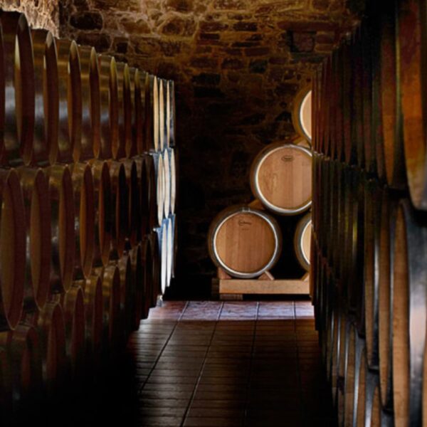 Val de La Osa - Vino tinto Mencía 2018 - Imagen 5