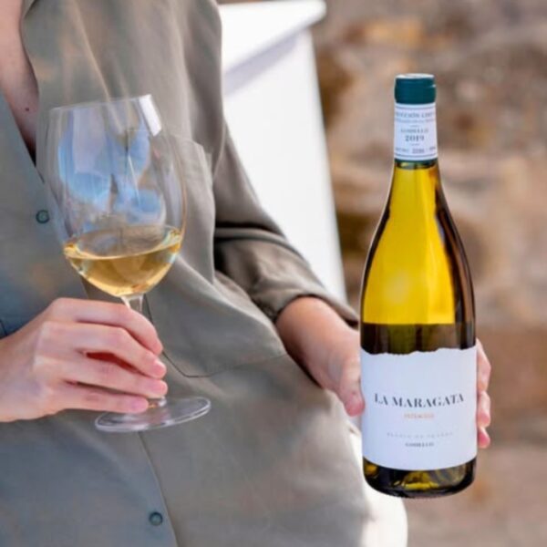 La Maragata - vino blanco Godello 2019 - Imagen 2