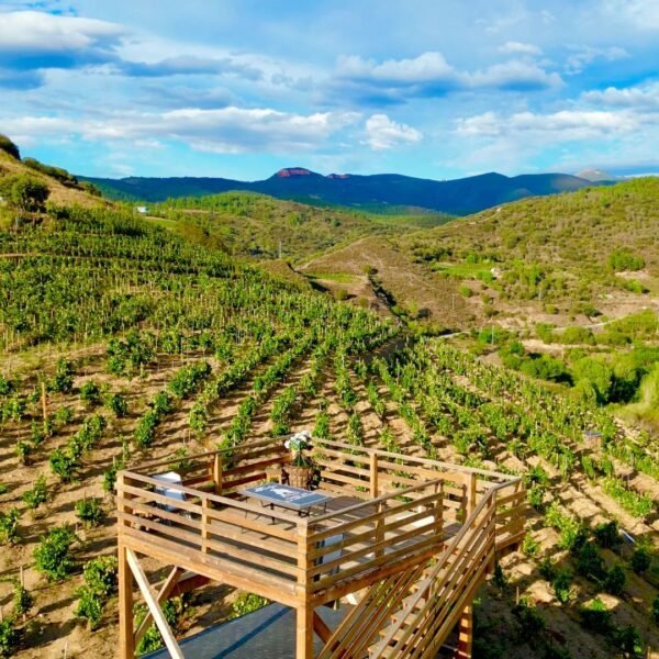 Pack de vinos Pago de Los Abuelos - Imagen 2