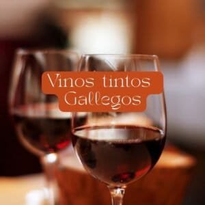 Vinos tintos gallegos