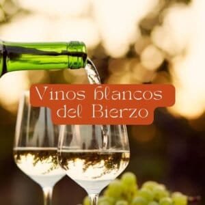 Vinos blancos del Bierzo