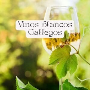 Vinos blancos gallegos
