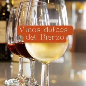 Vinos dulces del Bierzo