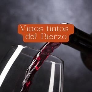 Vinos tintos del Bierzo