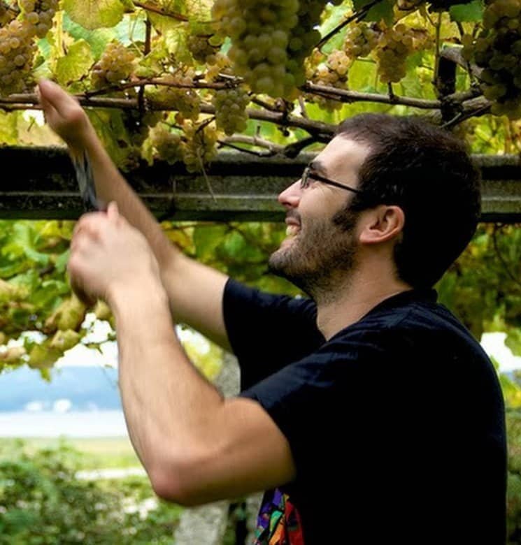 Albamar PAI 2022 Albariño - Imagen 2