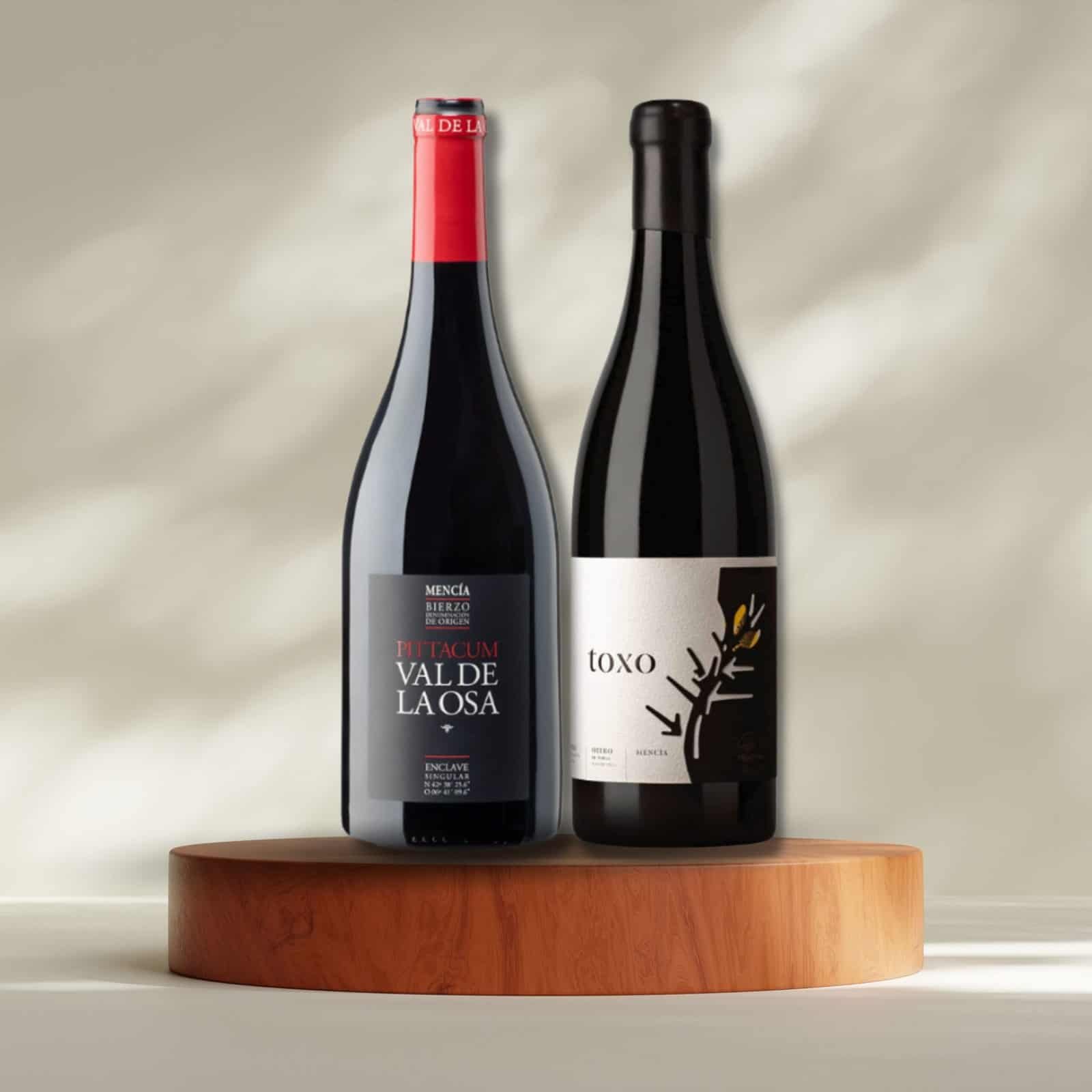 Pack de Vinos Bodega Histórica y Micro-Proyecto del Bierzo